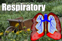 Respiratory & Immunity Mini-Farm